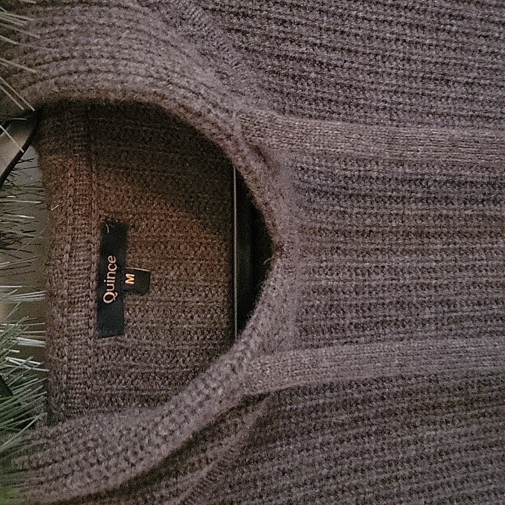 Quince cashmere hoodie